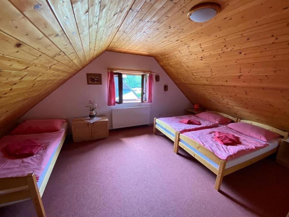 Apartmany U Dostalu Bedřichov 外观 照片
